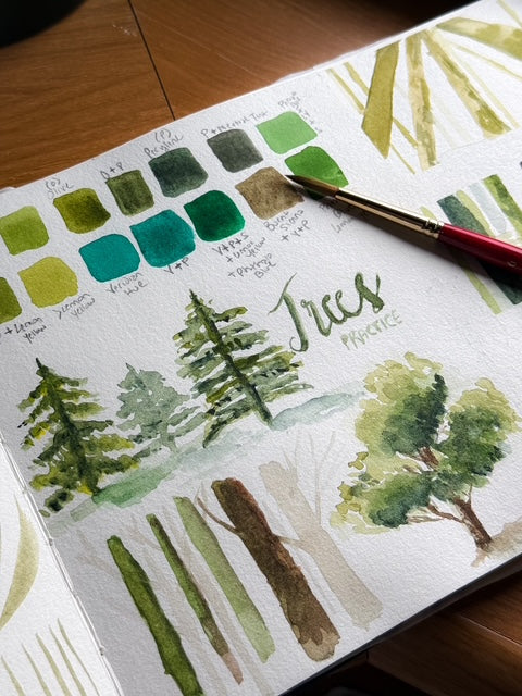 Wed June 17 —  Watercolor Sketchbook Foundations (Learn the Basics)